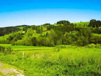 Gewerbeobjekt kaufen in 9462 Bad St. Leonhard (Bild 1)
