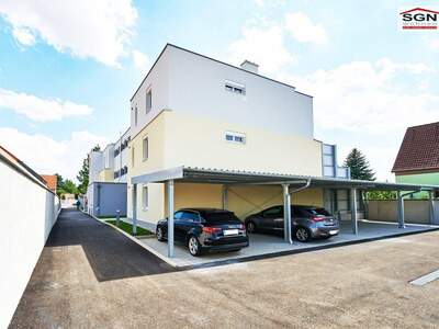 Wohnung mieten in 2490 Ebenfurth