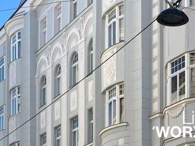Gewerbeobjekt mieten in 1080 Wien (Bild 5)