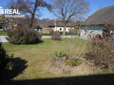 Haus kaufen in 3533 Friedersbach (Bild 5)