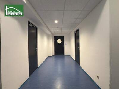 Büro / Praxis mieten in 2326 Maria (Bild 5)