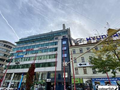 Gewerbeobjekt mieten in 1060 Wien (Bild 1)