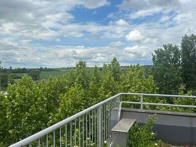 Gewerbeobjekt mieten in 1110 Wien (Bild 3)