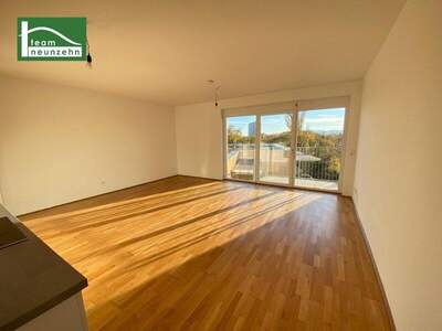 Terrassenwohnung mieten in 8020 Graz (Bild 1)