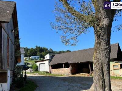 Immobilie kaufen in 8570 Voitsberg (Bild 3)