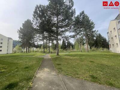 Terrassenwohnung mieten in 8750 Judenburg (Bild 5)