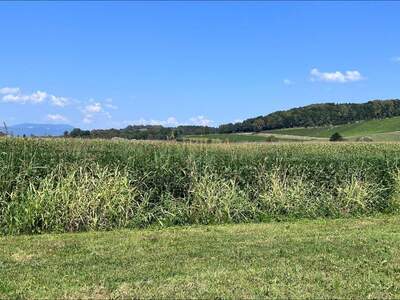Haus kaufen in 8271 Bad Waltersdorf