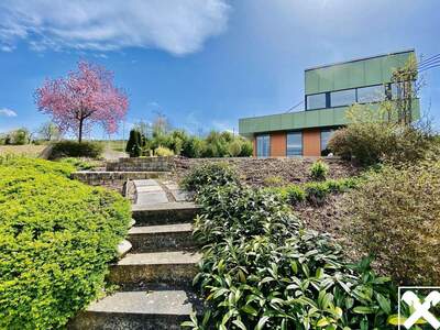 Gewerbeobjekt mieten in 4845 Rutzenmoos (Bild 2)