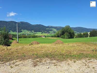 Haus kaufen in 5310 Mondsee