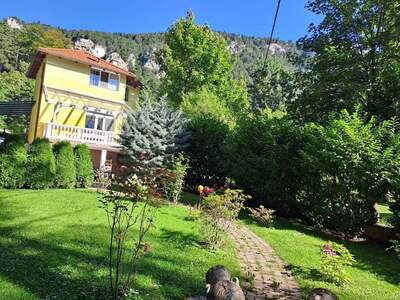 Haus kaufen in 2733 Grünbach