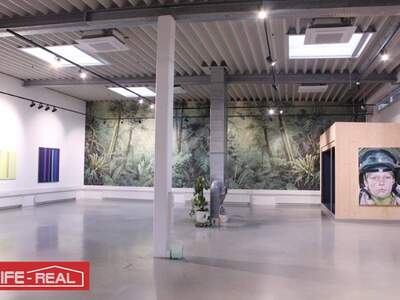 Gewerbeobjekt mieten in 4020 Linz