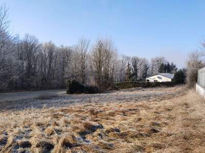 Grundstück kaufen in 4073 Wilhering (Bild 3)