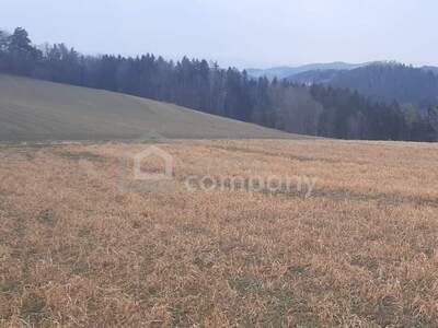 Gewerbeobjekt kaufen in 2811 Wiesmath