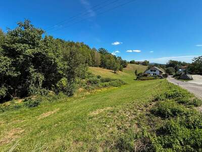 Grundstück kaufen in 4175 Herzogsdorf