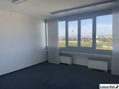 Gewerbeobjekt mieten in 2320 Schwechat (Bild 3)