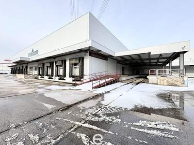Gewerbeobjekt mieten in 2351 Wiener Neudorf (Bild 3)