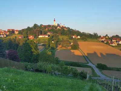 Grundstück kaufen in 8345 Straden (Bild 5)