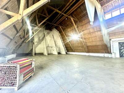 Gewerbeobjekt mieten in 4470 Enns (Bild 2)