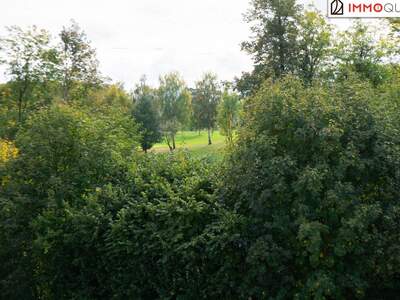 Haus kaufen in 4540 Bad Hall (Bild 4)