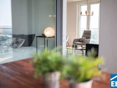 Terrassenwohnung mieten in 1220 Wien (Bild 1)