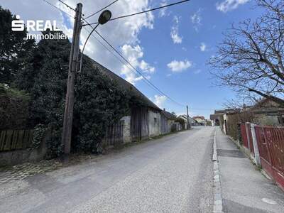 Grundstück kaufen in 3424 Zeiselmauer (Bild 4)