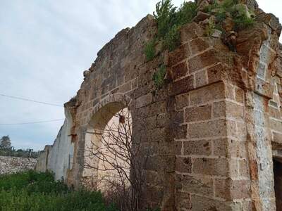 Haus mit Garten kaufen (Bild 3)