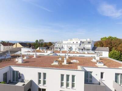 Wohnung mit Balkon mieten in 2100 Korneuburg (Bild 1)