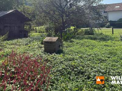 Grundstück kaufen in 6845 Hohenems