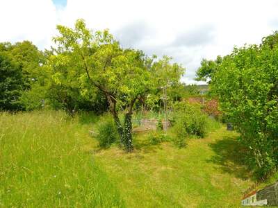 Einfamilienhaus kaufen in 2721 Bad Fischau (Bild 4)