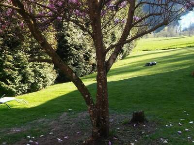 Haus provisionsfrei mieten in 8153 Geistthal