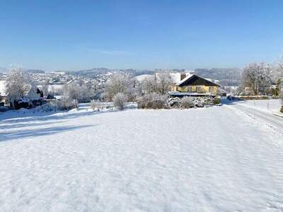 Grundstück kaufen in 5163 Mattsee