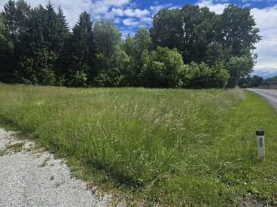 Grundstück kaufen in 8292 Neudau (Bild 4)