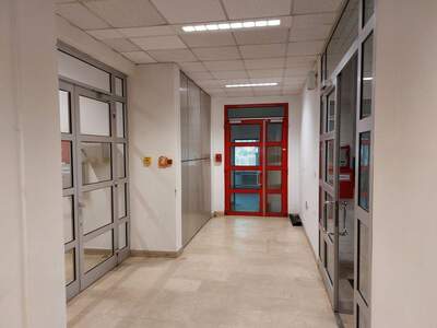 Gewerbeobjekt mieten in 2460 Bruck an der Leitha (Bild 3)