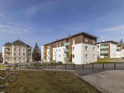 Wohnung mieten in 2020 Hollabrunn