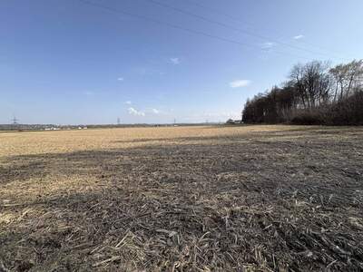 Gewerbeobjekt kaufen in 5274 Burgkirchen