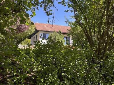 Haus kaufen in 4211 Alberndorf