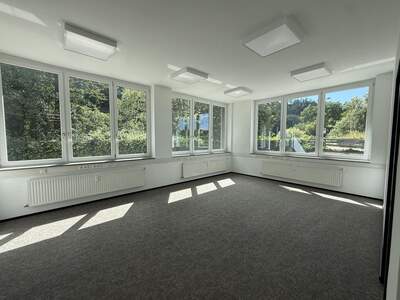 Gewerbeobjekt mieten in 8200 Gleisdorf (Bild 1)