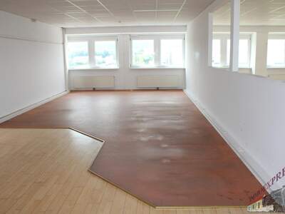 Büro / Praxis mieten in 2351 Wr. Neudorf (Bild 5)