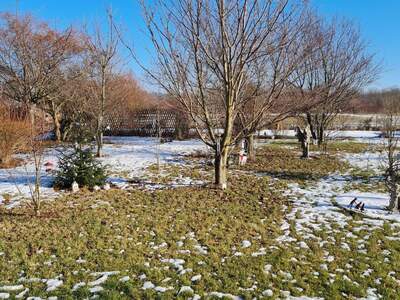 Wohnanlage kaufen in 3254 Bergland (Bild 5)