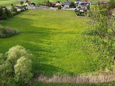Grundstück kaufen in 2722 Weikersdorf (Bild 4)