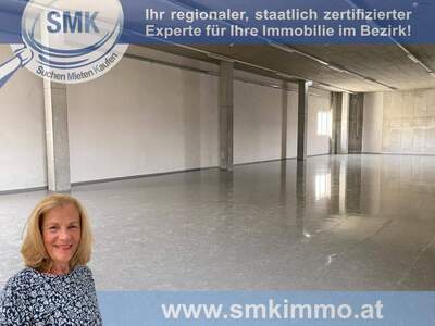 Gewerbeobjekt mieten in 1230 Wien