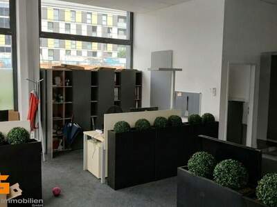 Gewerbeobjekt mieten in 5020 Salzburg (Bild 1)