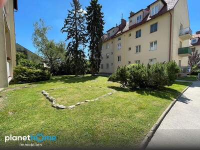 Terrassenwohnung kaufen in 3400 Klosterneuburg (Bild 2)