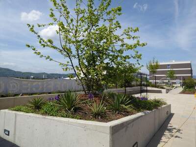 Wohnung mieten in 8055 Graz (Bild 4)