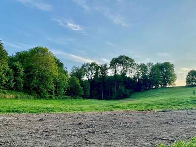 Grundstück provisionsfrei kaufen in 4631 Krenglbach