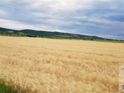 Grundstück kaufen in 3350 Haag