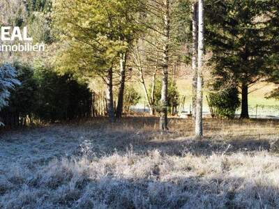 Grundstück kaufen in 3172 Ramsau (Bild 4)