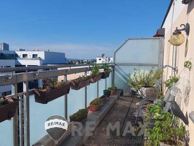 Terrassenwohnung mieten in 1220 Wien (Bild 5)