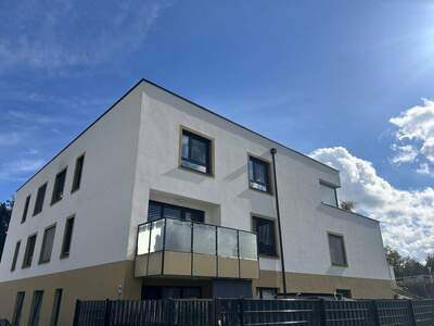 Wohnung kaufen in 4910 Ried
