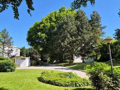 Mietwohnung provisionsfrei in 2102 Bisamberg